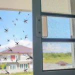 Mosquito Treatment for Residential Areas