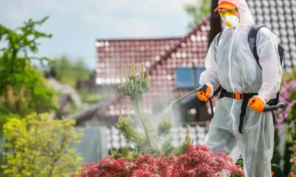 How to Eliminate Mosquito Breeding Spots Around Your Sharjah Home