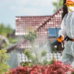 mosquito control Sharjah