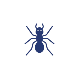ants