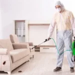 cockroach pest control Sharjah