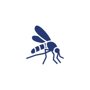 Mosquito