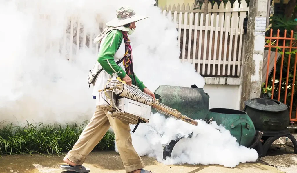 Heat Treatment vs Chemical Treatment for Bed Bugs in Sharjah – Which Works Better?