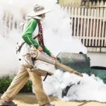bed bug treatment Sharjah