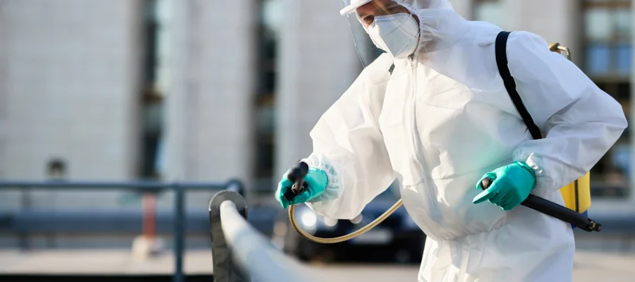 choose between different pest control companies in sharjah