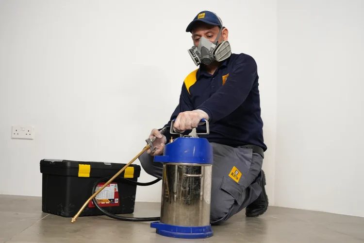 Pest Control Services in Ajman