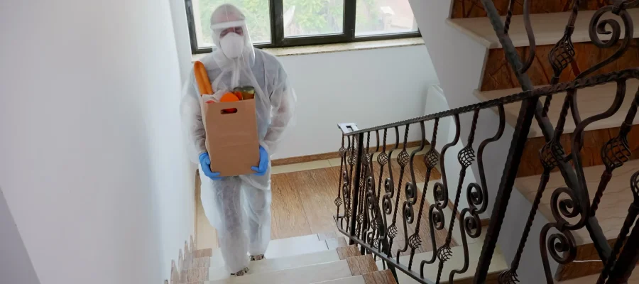 How Termites Enter Your House